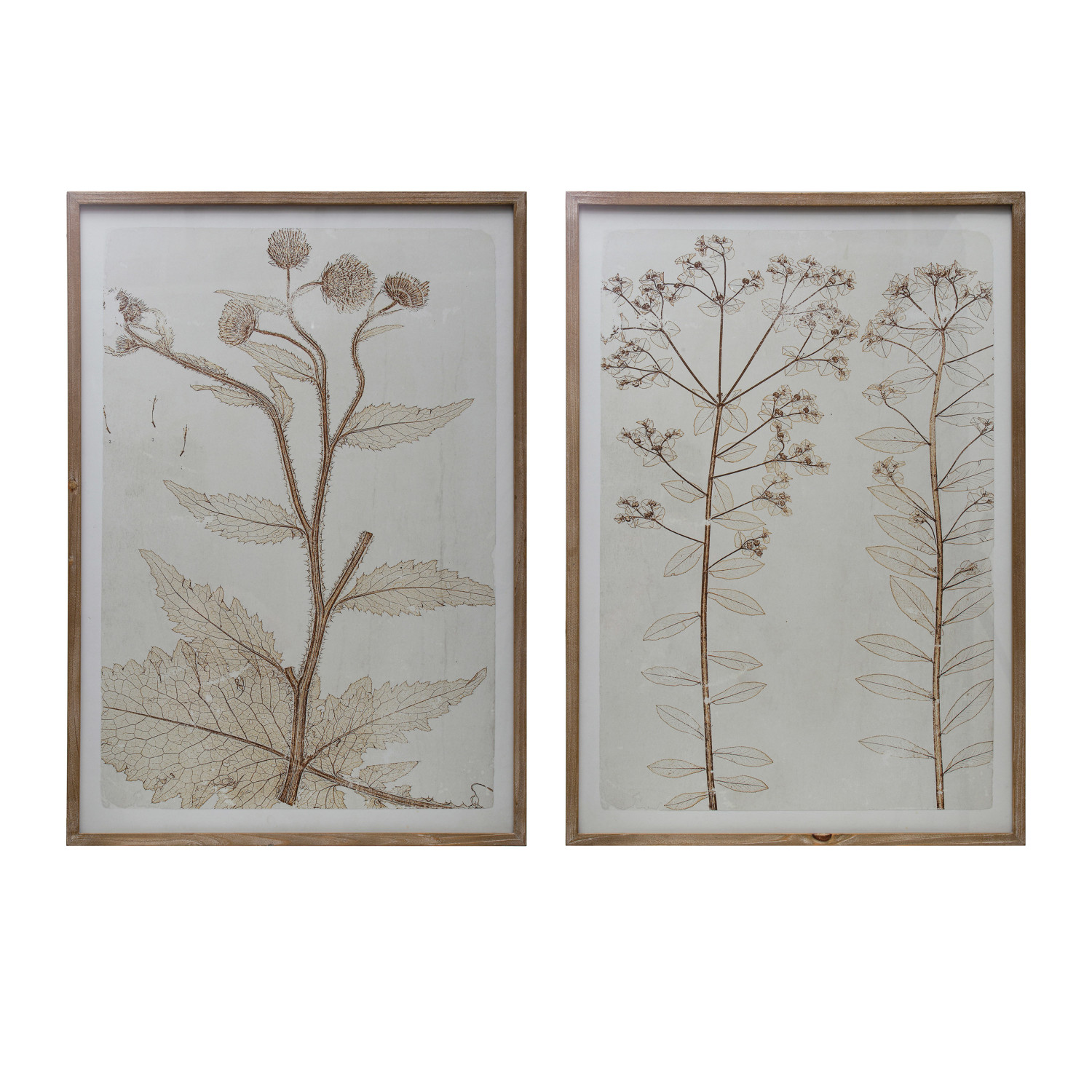 Wood Framed Glass Wall Décor w/ Flowers, Set of 2