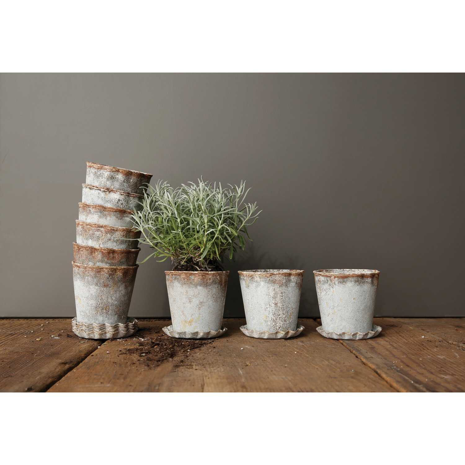 Distressed Metal Planter with Pleated Saucer, Set of 2