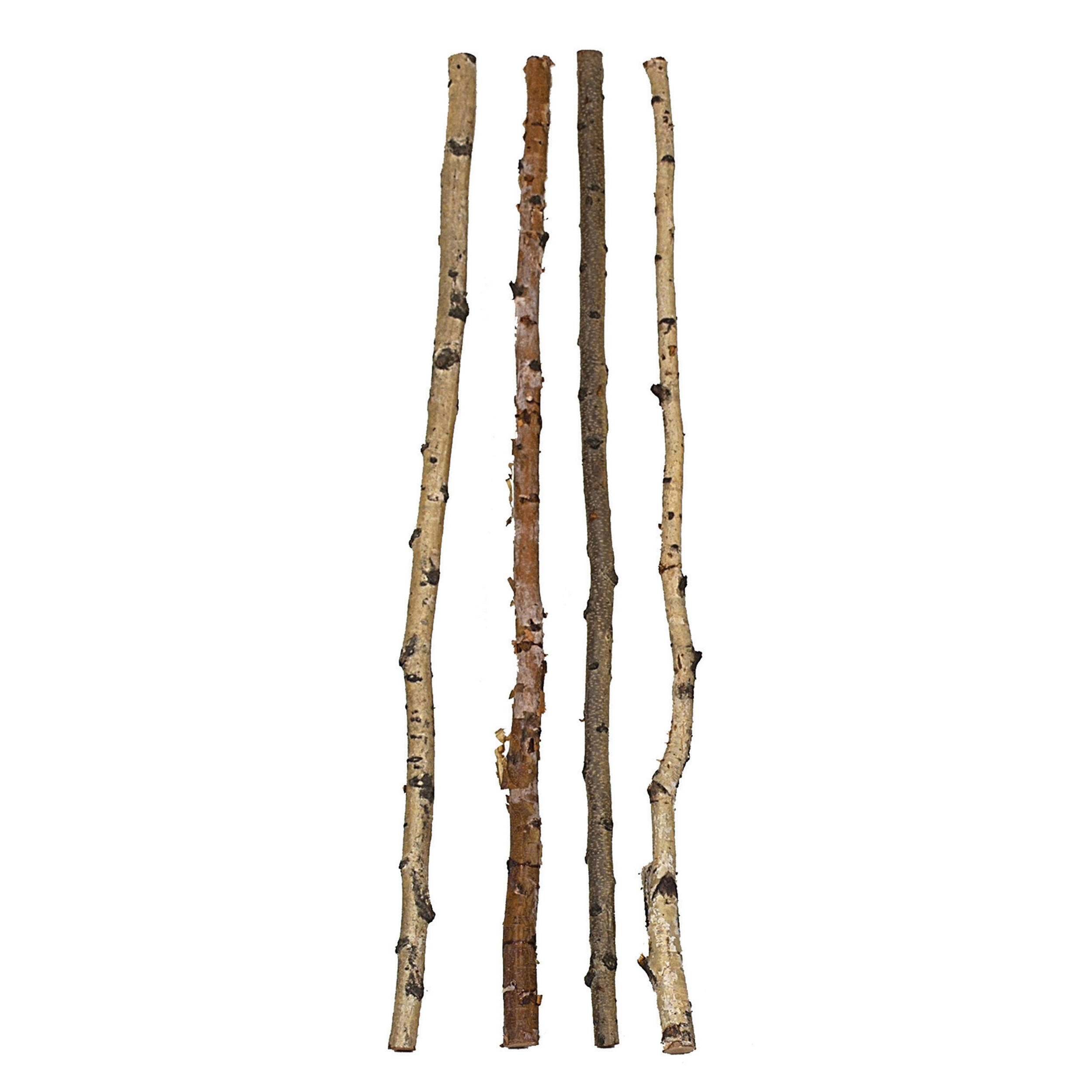 59"L Wood Birch Branch