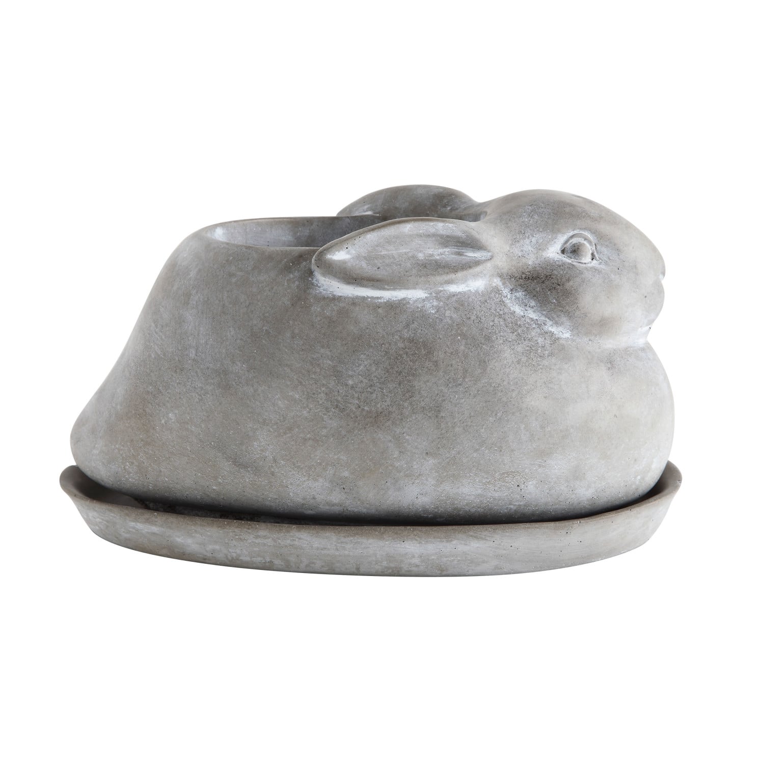 Cement