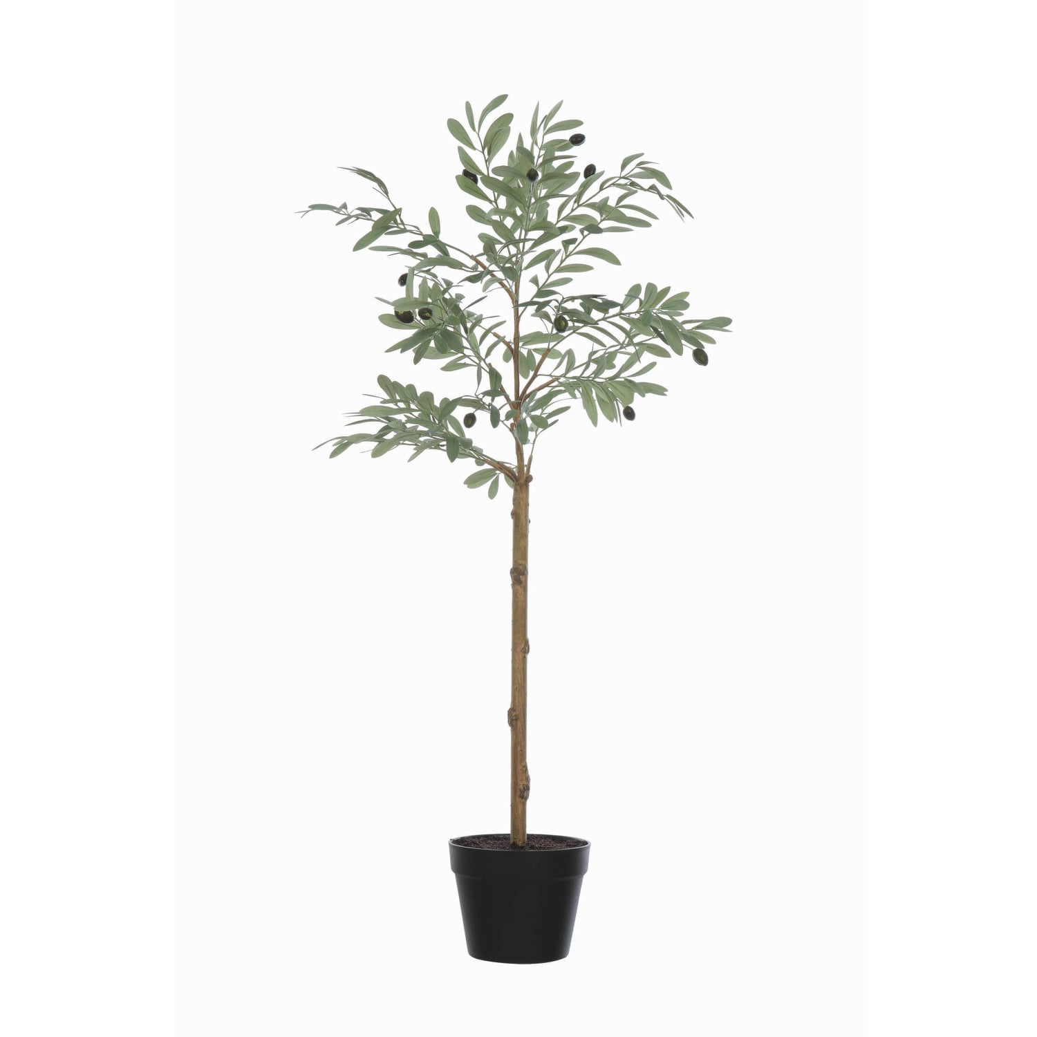 Potted