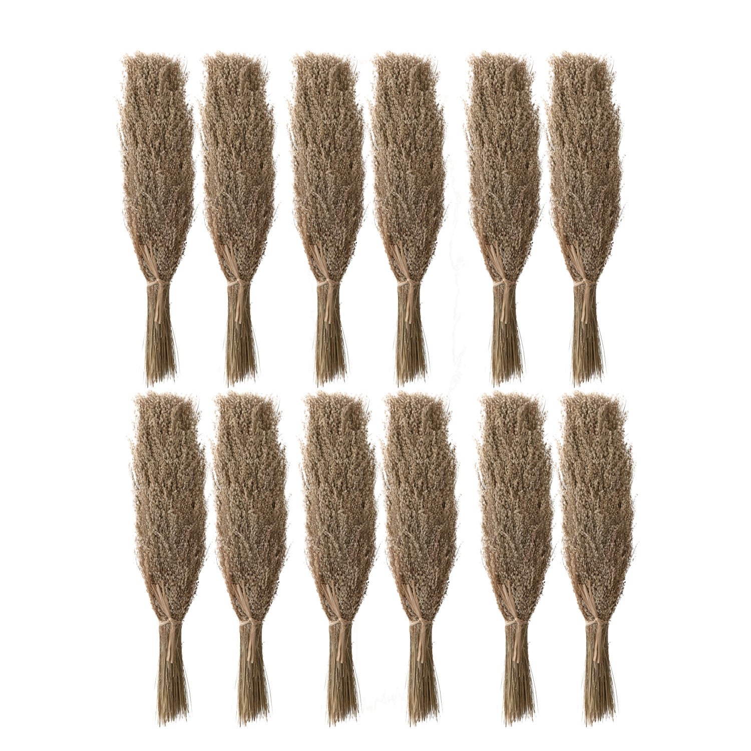 Dried