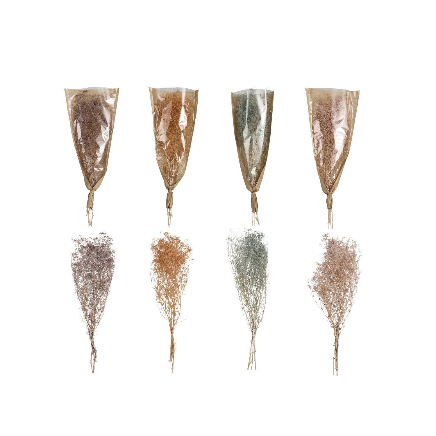 Dried