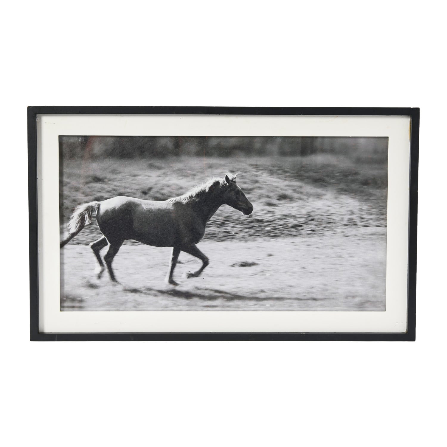 Galloping