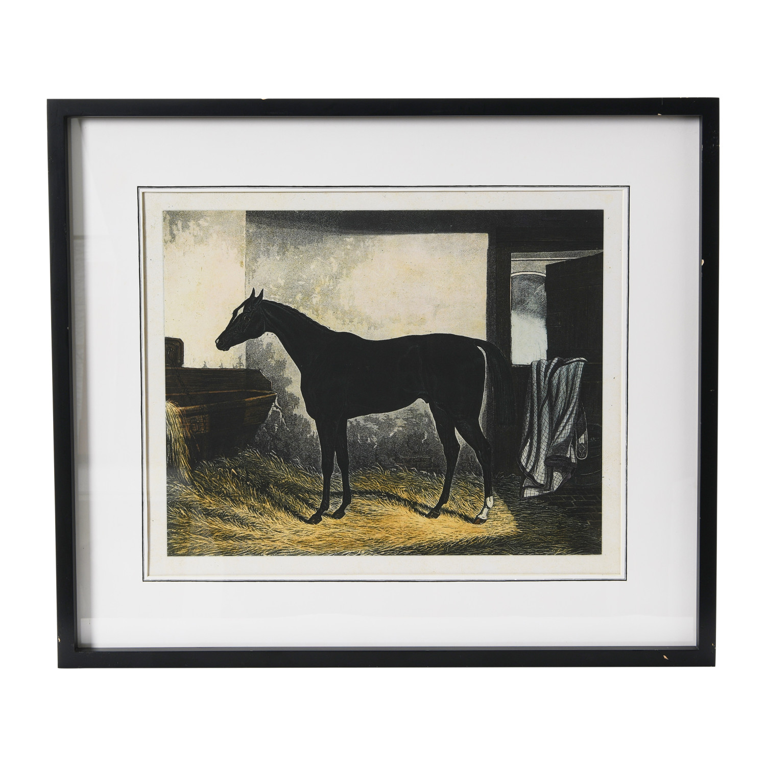 Horse