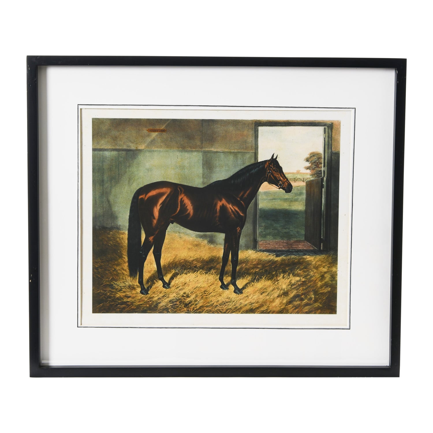 Horse